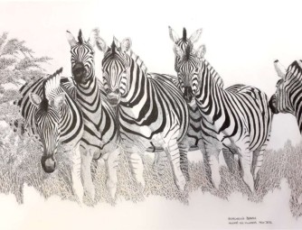 2012 Nov. -Zebra Print