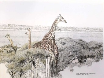 2013 -Giraffe Print