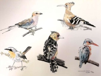 2017 -Bird Print